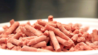 Disgusting Pink Slime Company Launches Billion Dollar Offensive (Updated)